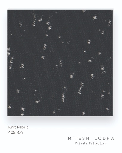 [4051-04] 4051-04